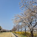 남대천제방길 이미지