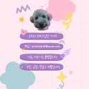 써니펫 | 부평구청 친절 애견동반 디저트카페 [위틸리]