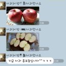 호야네애플파파농장