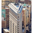 디스트릭트1979 이미지