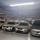 2026 케이펫페어 부산 후기 : 벡스코 펫페어 주차 팁 & 샘플 득템 라인업 정리
