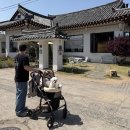 화덕가 | 경주 황리단길 애견동반 식당 황리화덕가, 실내 별채에서 즐기는 찐 내돈내산 후기 🍕🐾