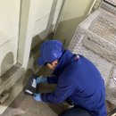 해충폴리스