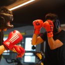 스탈리온복싱짐2관 | “매일 운동해도 살이 안 빠져요” 복싱으로 해결한 리얼 후기 / 부산대복싱