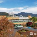 태백시건강증진센터 이미지