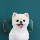 멍분의 멍 이미지