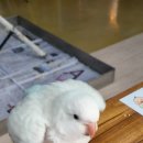 버드소리 대구수성점 이미지