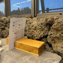 돈어길 | [내돈내산] 제주 서귀포맛집/신화월드맛집 돈어길 솔직후기