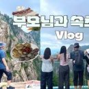 속초 가볼만한곳 속초 영금정 설악산케이블카 등 6곳 이미지