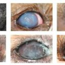 미소플러스약국 이미지