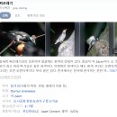 기업 업무 외주화 BPO :: 전문 업체 위탁 절감의 경제학