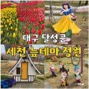제방변(등구마을) | 대구 벚꽃 튤립 명소 가볼 만한 곳 다사 세천 늪 테마 정원