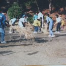 도안초등학교 이미지