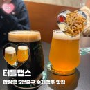 합정전철역 5번출구 | [맛집] 합정 터틀탭스 수제맥주 맛집 후기 | 합정역 5번출구 맥주 감자튀김 후기 위치 영업시간