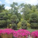 강원도립화목원 이미지