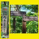 이정목21.울산대공원&솔마루길 이미지