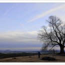 부여(임천)-12 이미지