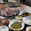 율석농원 | 남양주 애견동반 식당 / 오리고기 맛집 밤듸농원 내돈내산 후기