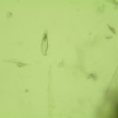 착한동물병원 이미지