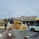 반곡길손식당 | [전남 구례] 애견동반여행: 온 마을이 노란 구례 산수유마을에서 봄꽃 구경하기🌼