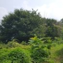 홍성읍 송월리마을회관 이미지