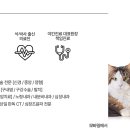 리움동물의료센터 이미지