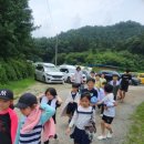 중앙 경희 태권도장 이미지