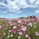 여주산촌관광농원 이미지