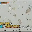 우진CS 네이버블로그