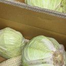 JS태권도장 이미지