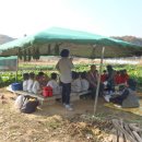 예진농장 이미지