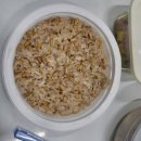 현미도시락 | 저속 노화 도시락 9 : 햇반 현미 귀리 곤약밥 후기