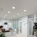 200패턴으로 끝내는 비즈니스영어 순간패턴 - 영어회화편 | 광진구 건대영어회화학원 비즈영어 2주차 후기 영어회화 프랙톡학원