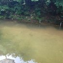 다이어트펜션 이미지