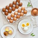 계림농장 이미지