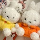 뽀글뽀글 이미지