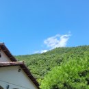 더 설레임 펜션 이미지