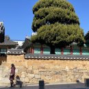 (주)동헌 | 동래광역시였을 부산의 옛 중심 동헌