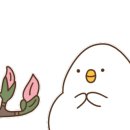 정담기지떡군포
