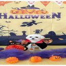 월드애견 이미지