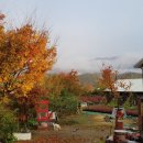 동희농장 이미지