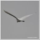 위례강변길 이미지