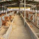 정해농장 이미지