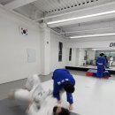 Dream of Judo 세종유도관 보람점 이미지