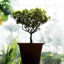 허브인허브 이미지