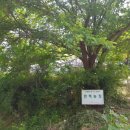 한백농장 이미지