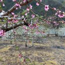 수안보민박 이미지