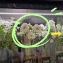개인화물2179 | [꽃냉장고 이야기] 내돈내산! 꽃집 꽃냉장고 사용 후기 + 업체 추천