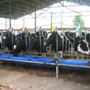 청와대목장 이미지