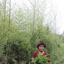 한아름전마을 이미지